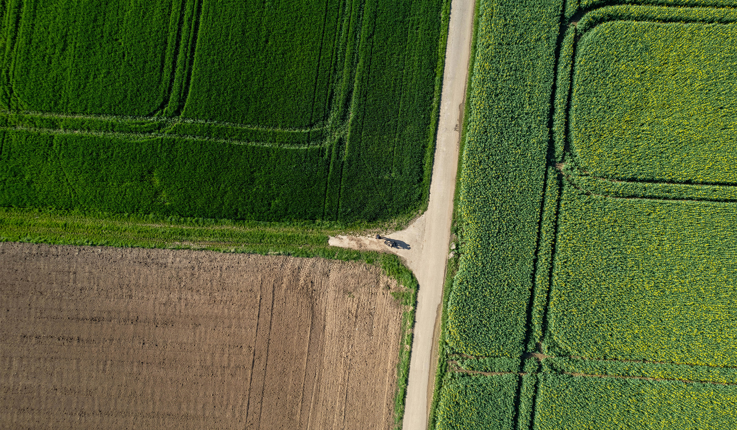 KAMAB 26 | KAdriatica | Ricerca