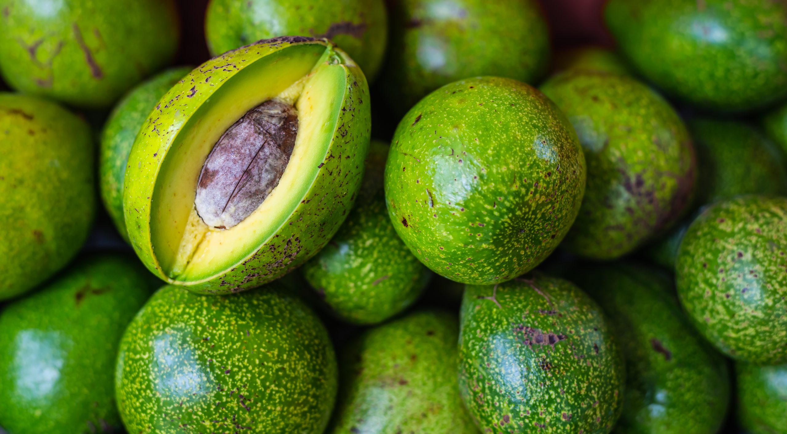 KAMAB 26 | Avocado pile in avocado shop at fruit market